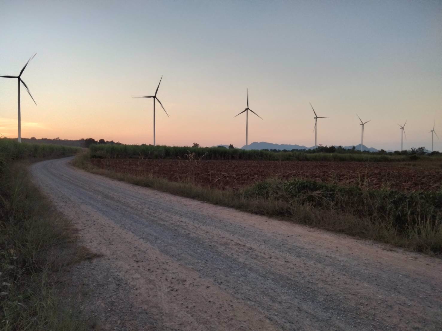 ขายที่ดิน-แบ่งขายเนื้อที่50-ตารางวา-ตหนองน้ำใส-อสีคิ้ว-จนครราชสีมา