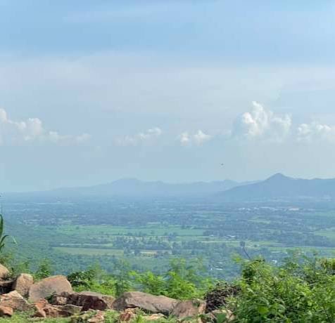 ขายที่ดิน-แบ่งขายเนื้อที่50-ตารางวา-ตหนองน้ำใส-อสีคิ้ว-จนครราชสีมา