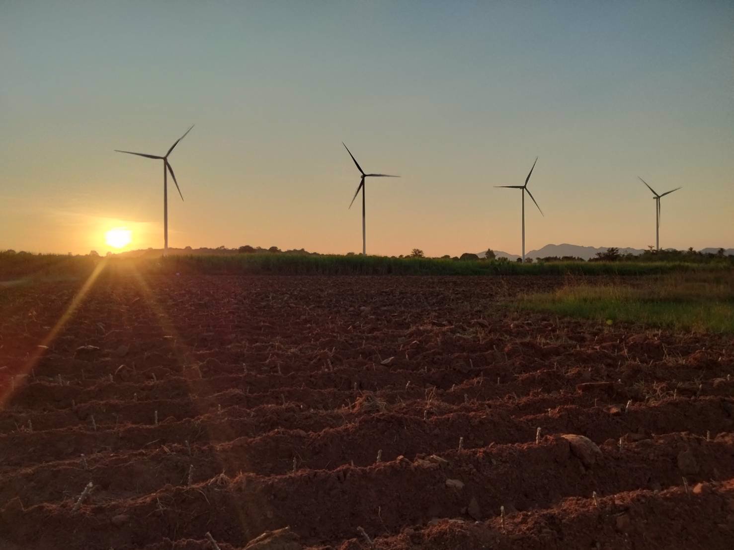 ขายที่ดิน-แบ่งขายเนื้อที่50-ตารางวา-ตหนองน้ำใส-อสีคิ้ว-จนครราชสีมา