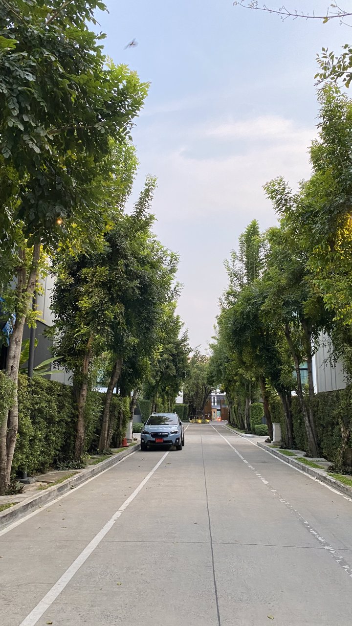 ให้เช่า-ทาวน์โฮม-35-ชั้น-โครงการ-อาร์เด้น-ลาดพร้าว71