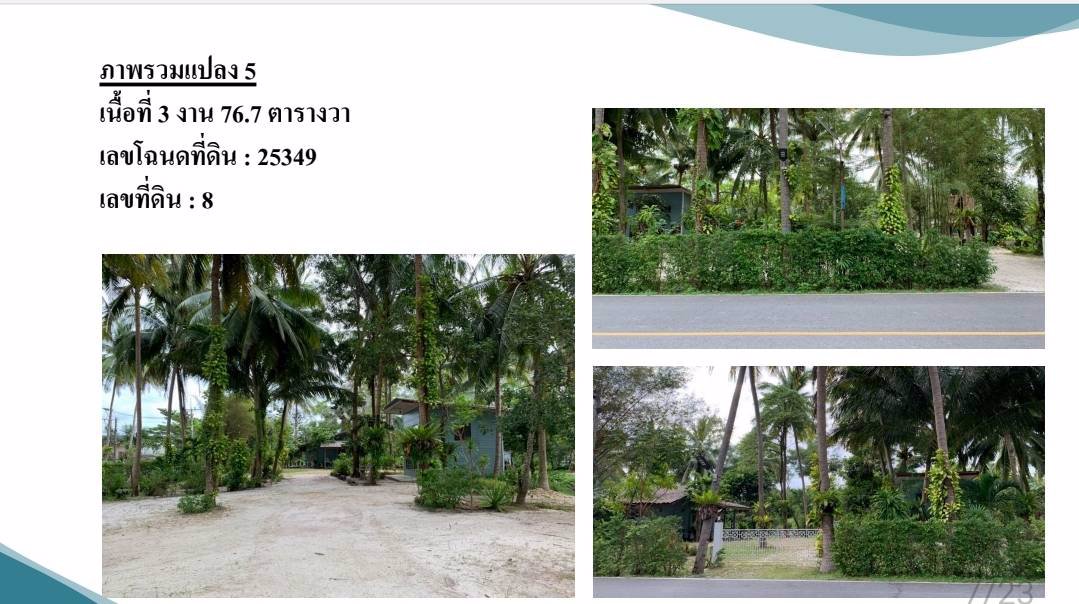 ประกาศขายยกโครงการพร้อมที่ดินเปล่า-ติดหาดริมทะเล-12-ไร่-หน้ากว้างติดหาด-100-เมตร-อท่าศาลา-จนครศรีฯ