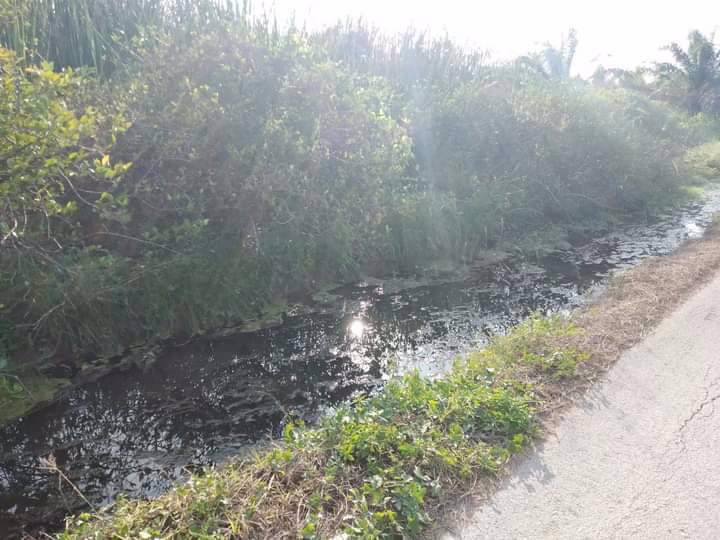 ที่ดินโฉนดถูกต้อง-ที่ดินสวยๆ-วิวหลักล้าน