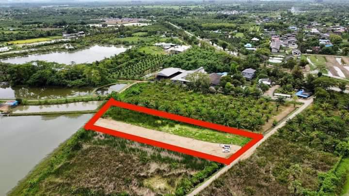 ที่ดินโฉนดถูกต้อง-ที่ดินสวยๆ-วิวหลักล้าน