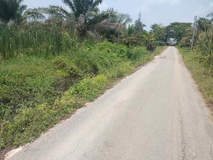 ที่ดินโฉนดถูกต้อง-ที่ดินสวยๆ-วิวหลักล้าน