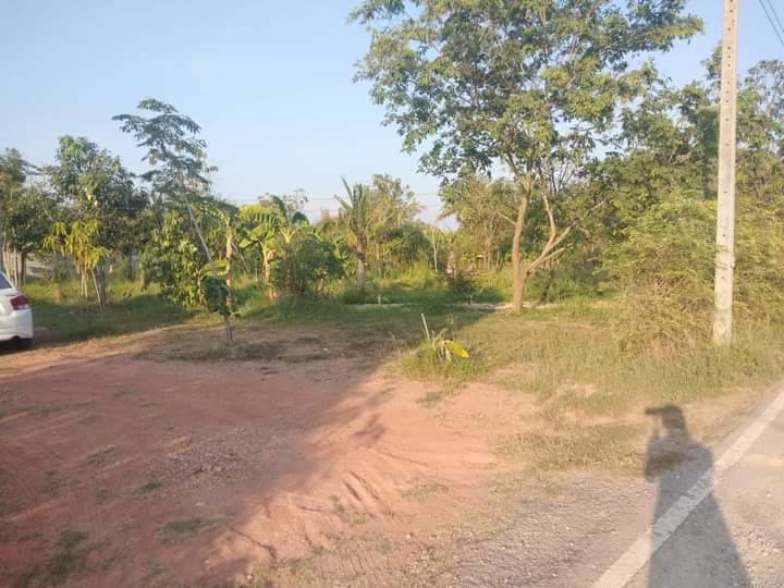 ที่ดินโฉนดถูกต้อง-ที่ดินสวยๆ-วิวหลักล้าน