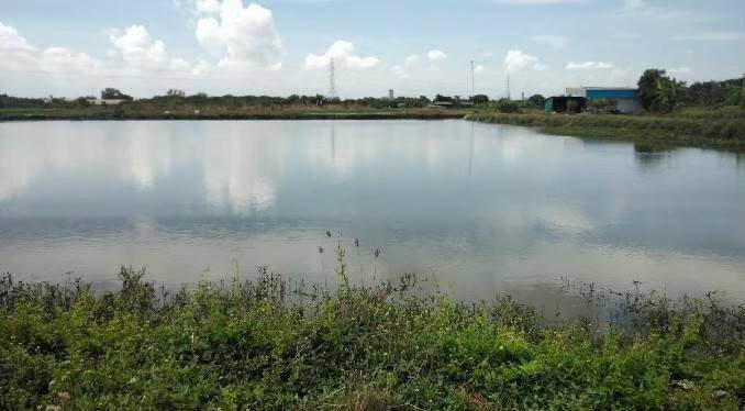 ที่ดินโฉนดถูกต้อง-ที่ดินสวยๆ-วิวหลักล้าน