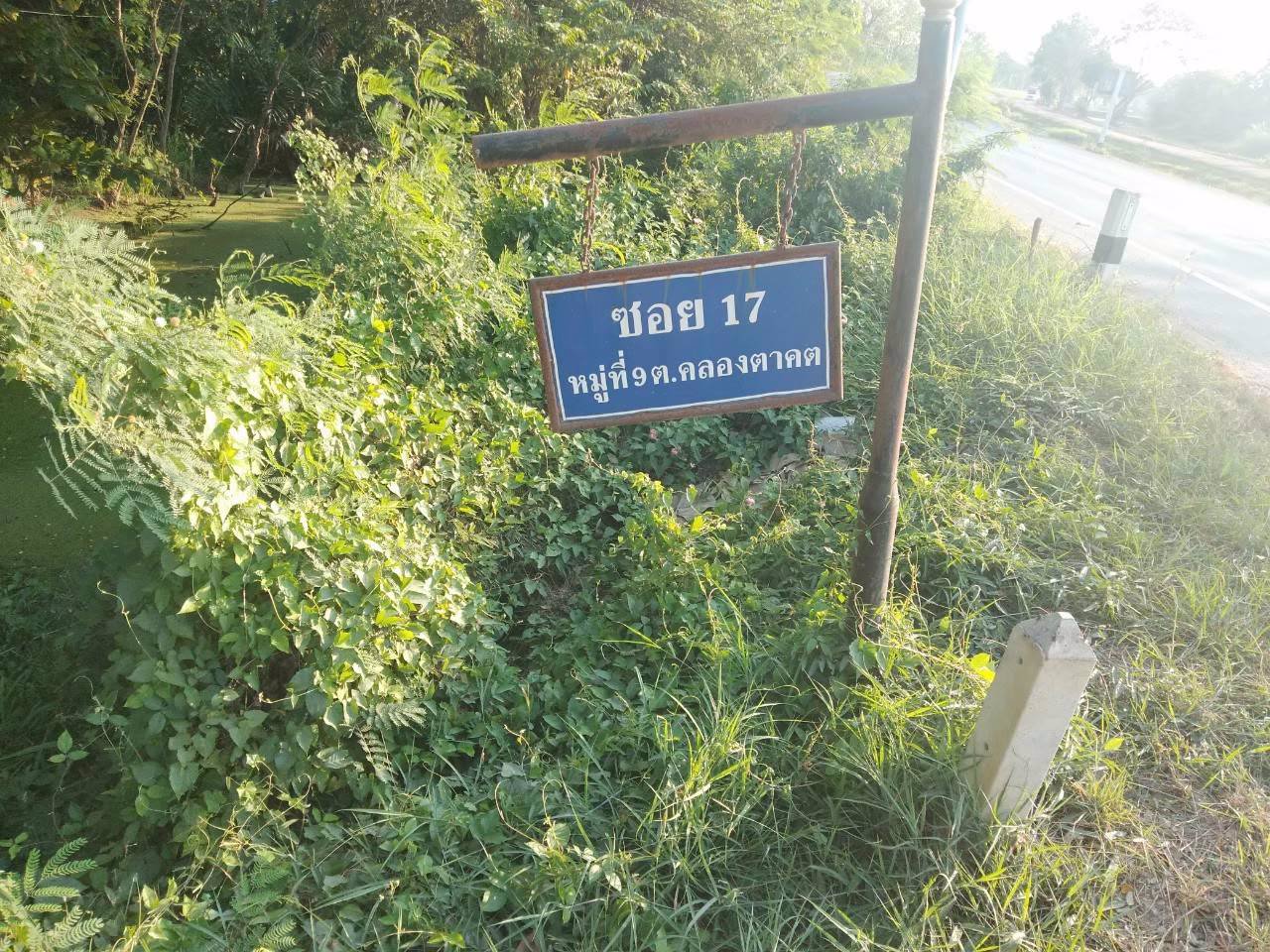 ที่ดินโฉนดถูกต้อง-ที่ดินสวยๆ-วิวหลักล้าน