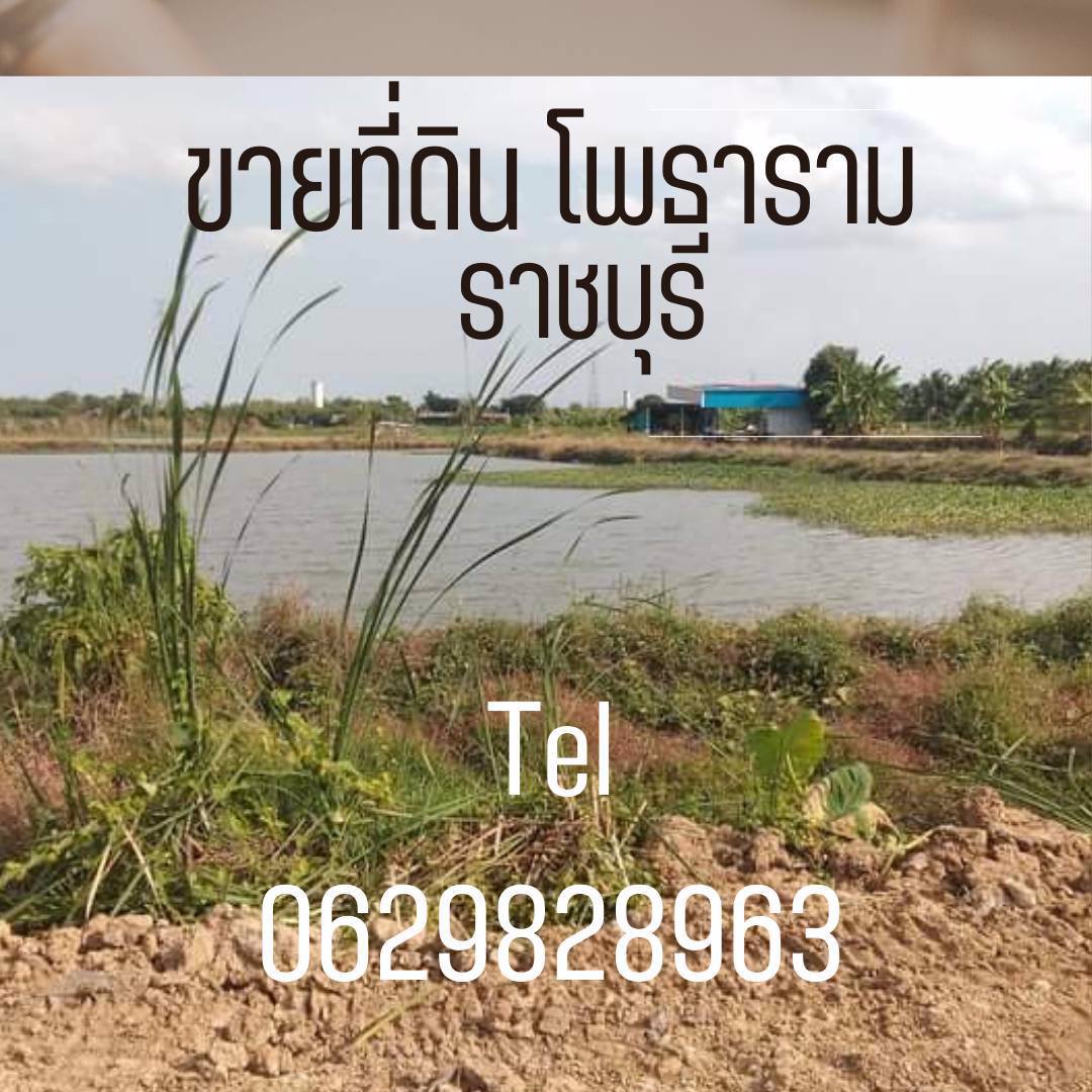 ที่ดินโฉนดถูกต้อง-ที่ดินสวยๆ-วิวหลักล้าน