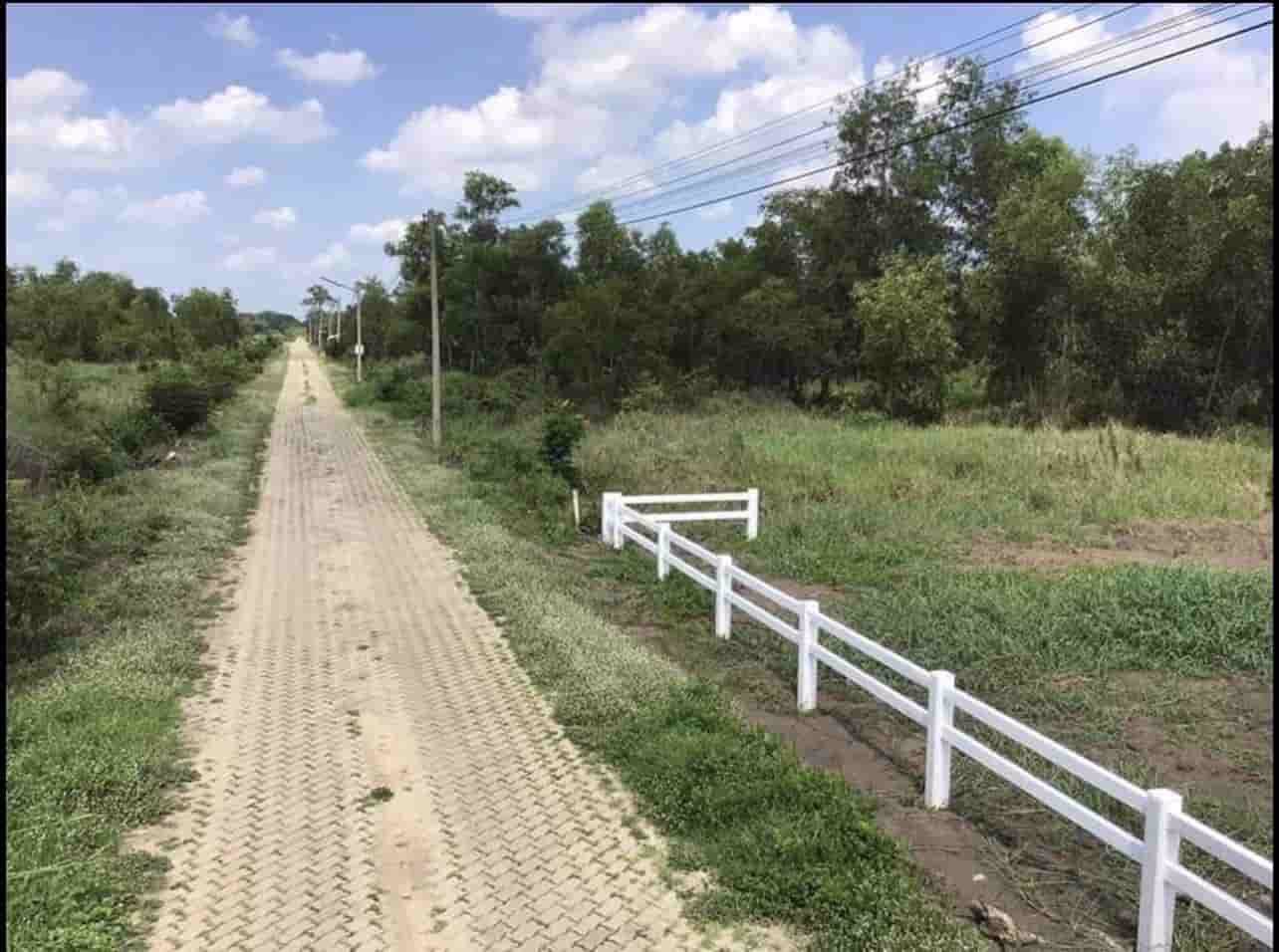 ที่ดินแบ่งขายโฉนดพร้อมโอน-ราคาถูกปะทะโควิด-6แปลงสุดท้ายหมดแล้วหมดเลย