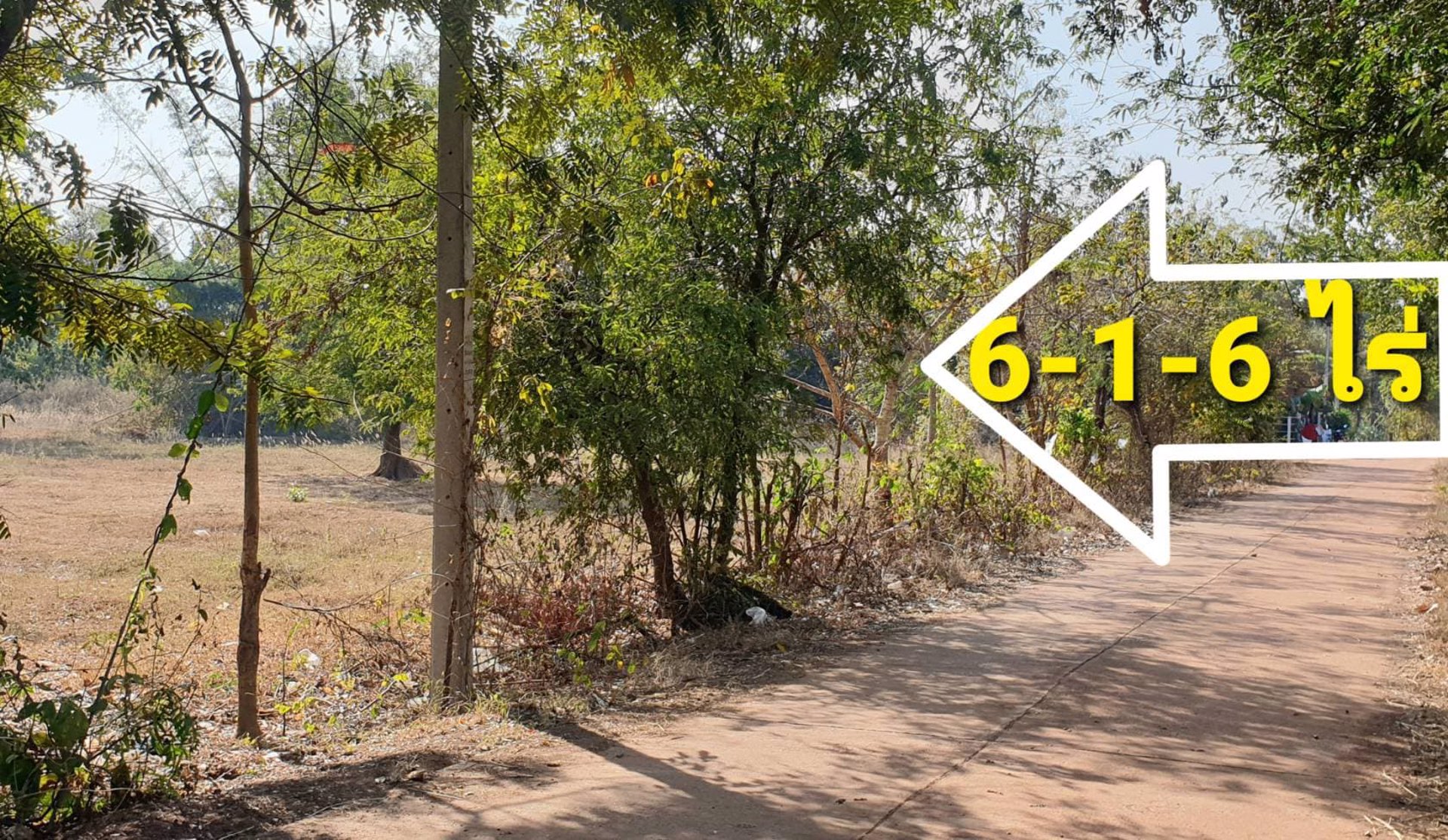 ขายที่ดิน-อากาศอำนวย-ราคาถูก