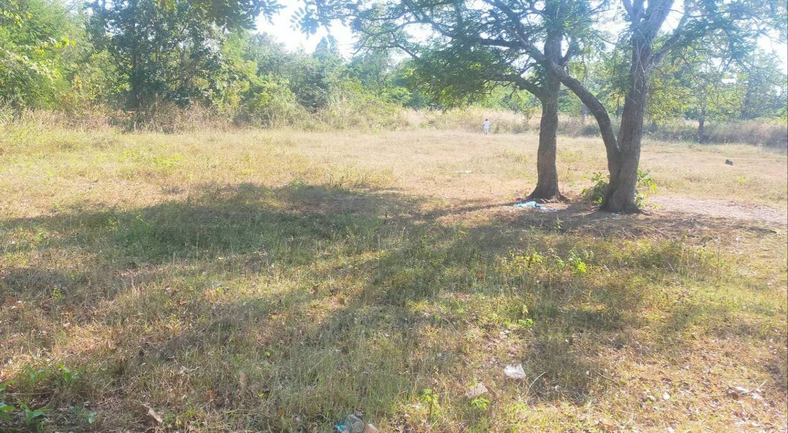 ขายที่ดิน-อากาศอำนวย-ราคาถูก