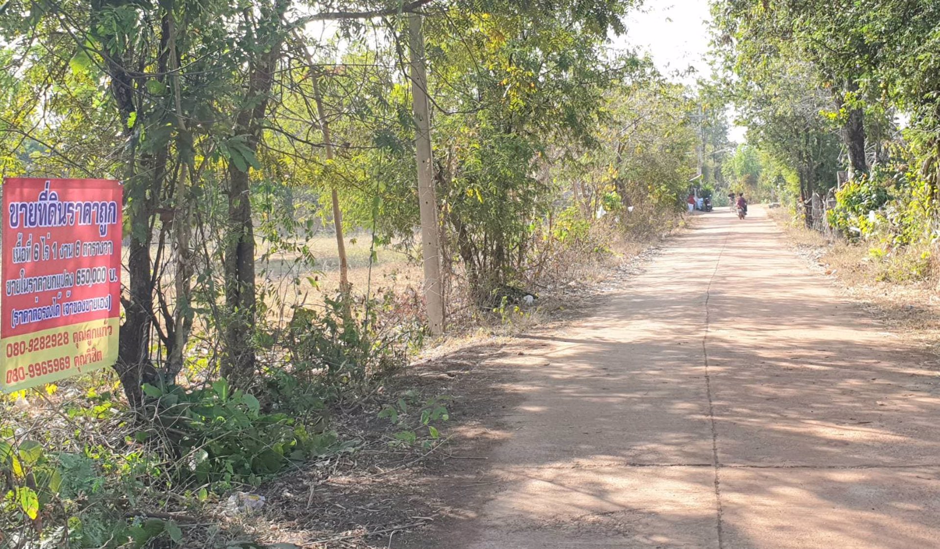 ขายที่ดิน-อากาศอำนวย-ราคาถูก