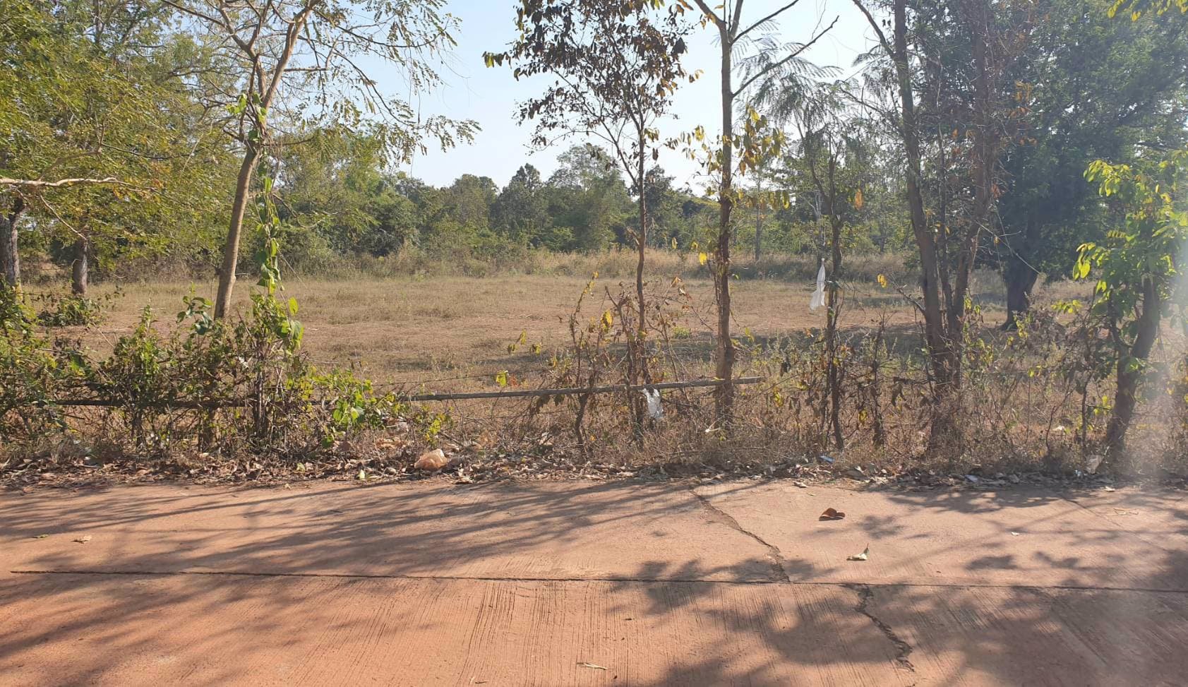 ขายที่ดิน-อากาศอำนวย-ราคาถูก