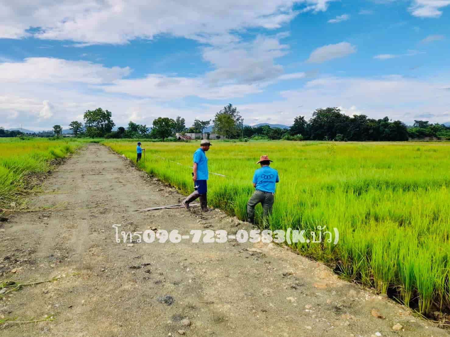 ด่วน-แบ่งขายที่ดินเชียงใหม่-วิวแบบนี้-บรรยากาศแบบนี้-แต่อยู่ใกล้เมืองเชียงใหม่