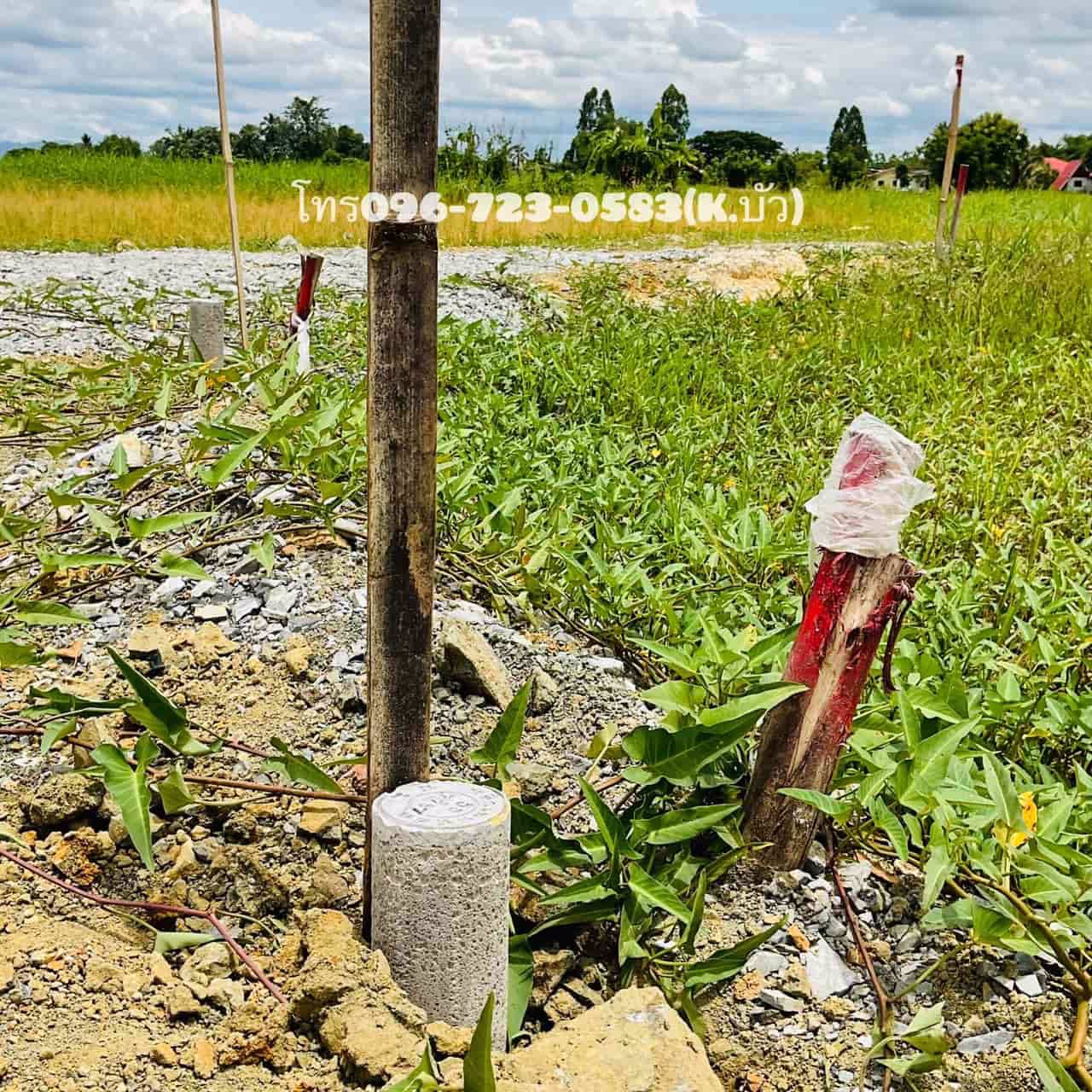 ด่วน-แบ่งขายที่ดินเชียงใหม่-วิวแบบนี้-บรรยากาศแบบนี้-แต่อยู่ใกล้เมืองเชียงใหม่