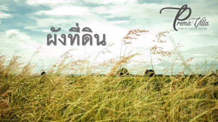 ขาย-ที่ดิน-พรีมา-วิลล่า-บ้านสไตล์โมเดิร์นฟาร์มเฮ้าส์ที่แสนอบอุ่น-ละมุนตา-พรีม่าวิลล่า-ทาวน์-แอนด์-คันทรี่ลิฟวิ่ง-สวนผึ้ง-100-ตรวา