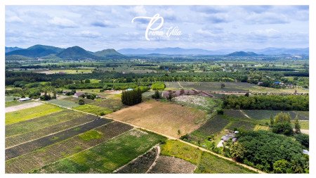 ขาย-ที่ดิน-พรีมา-วิลล่า-บ้านสไตล์โมเดิร์นฟาร์มเฮ้าส์ที่แสนอบอุ่น-ละมุนตา-พรีม่าวิลล่า-ทาวน์-แอนด์-คันทรี่ลิฟวิ่ง-สวนผึ้ง-100-ตรวา