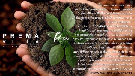 ขาย-ที่ดิน-พรีมา-วิลล่า-บ้านสไตล์โมเดิร์นฟาร์มเฮ้าส์ที่แสนอบอุ่น-ละมุนตา-พรีม่าวิลล่า-ทาวน์-แอนด์-คันทรี่ลิฟวิ่ง-สวนผึ้ง-100-ตรวา