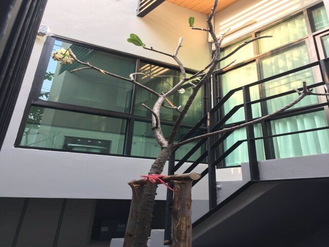 kr-055-ให้เช่าทาวน์โฮม-3-ชั้น-หลังมุม-ซอยสวนพลู-1-เฟอร์ครบพร้อมอยู่-ใกล้-bts-ช่องนนทรี