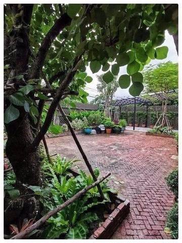 ks-009-ขายบ้านเดี่ยว-2-ชั้น-ซอยงามวงศ์วาน-43-รีโนเวทใหม่ทั้งหลัง-ทำเลดีเดินทางสะดวกใกล้ทางด่วน