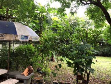 kr-123-ให้เช่าที่ดิน-40-ตารางวา-ซอยทองหล่อ-13-ใกล้เจ-อเวนิวทองหล่อ