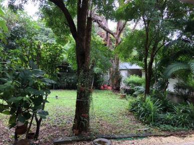 kr-123-ให้เช่าที่ดิน-40-ตารางวา-ซอยทองหล่อ-13-ใกล้เจ-อเวนิวทองหล่อ