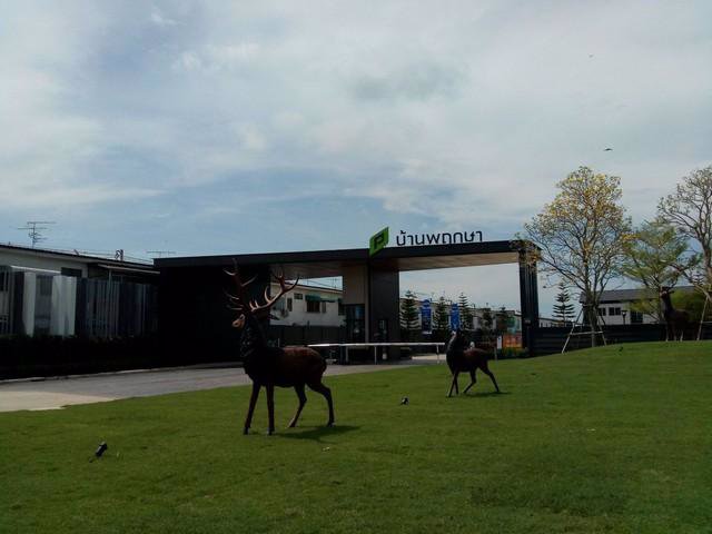 kr-153-ให้เช่าทาวน์เฮ้าส์-2-ชั้น-หมู่บ้านพฤกษา-134-คลอง-7-ถนนรังสิตนครนายก-ปทุมธานี