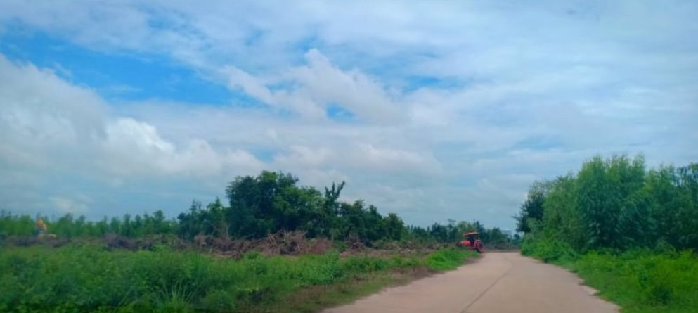 ขายที่ดิน-2ไร่-ขายเงินสด-เงินผ่อน-กู้ได้