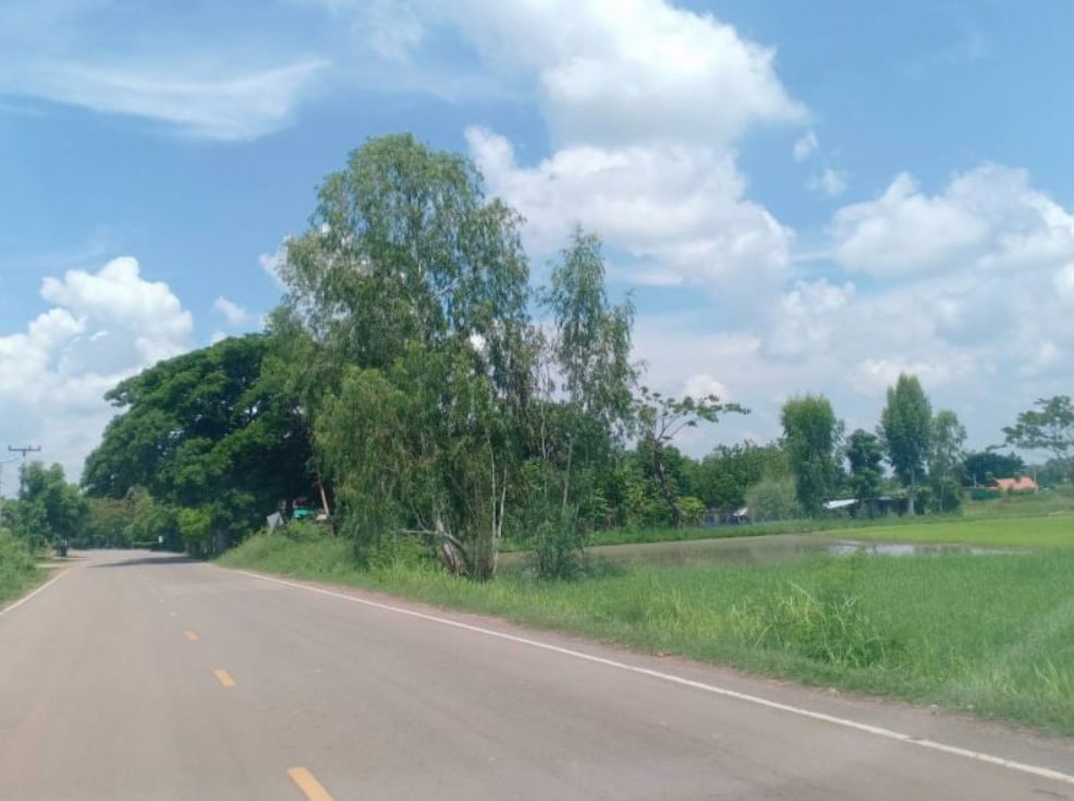 ขายที่นา-6ไร่-ติดถนนทางหลวง-2เลนส์ใหญ่