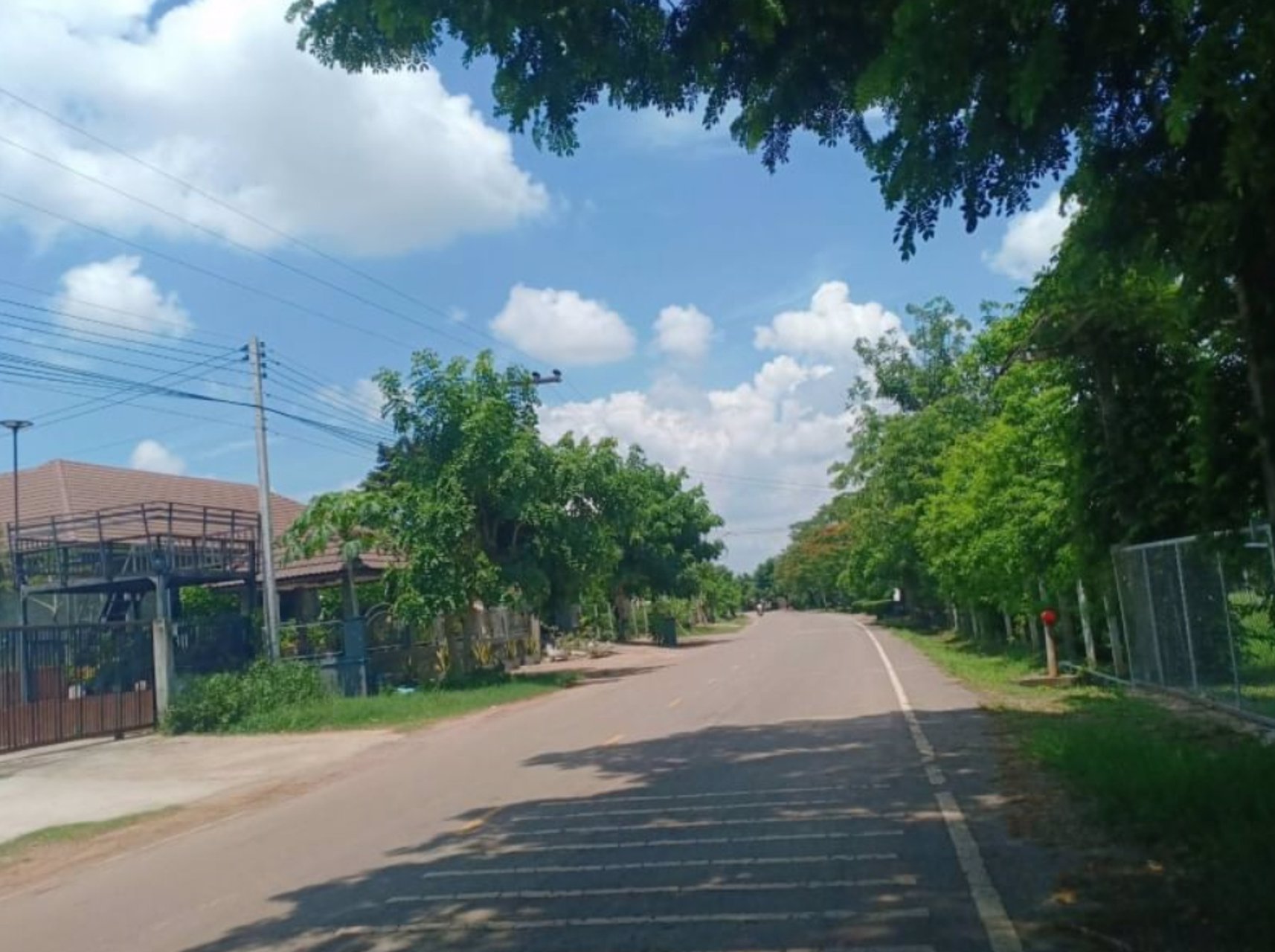 ขายที่นา-6ไร่-ติดถนนทางหลวง-2เลนส์ใหญ่