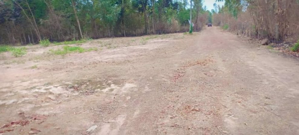 ขายที่ดิน-หลังห้างดูโฮมเมืองอุดร