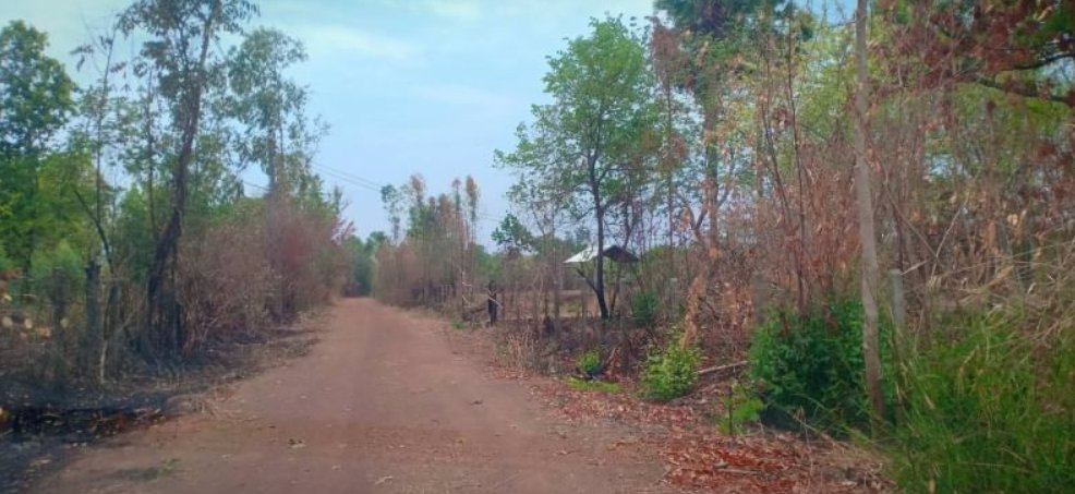 ขายที่ดิน-หลังห้างดูโฮมเมืองอุดร