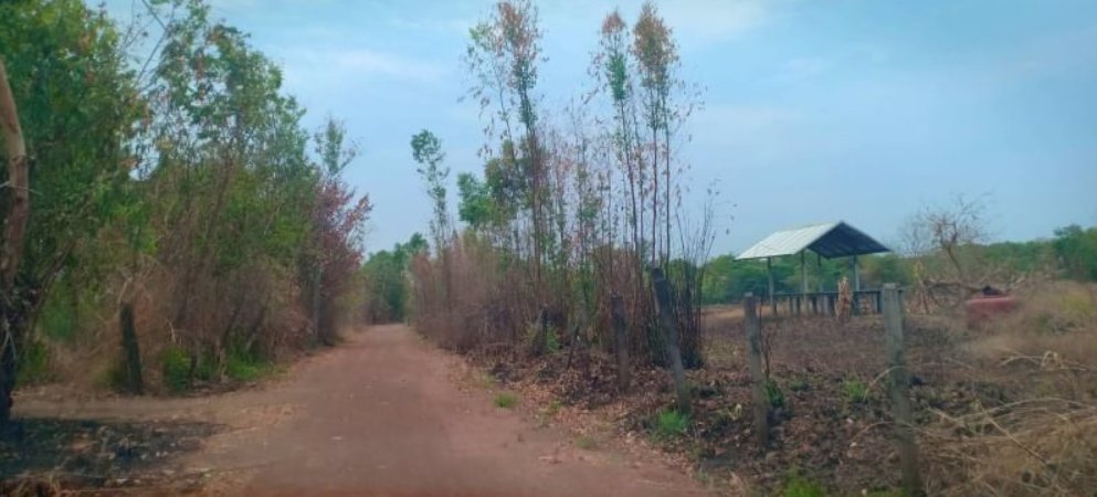 ขายที่ดิน-หลังห้างดูโฮมเมืองอุดร