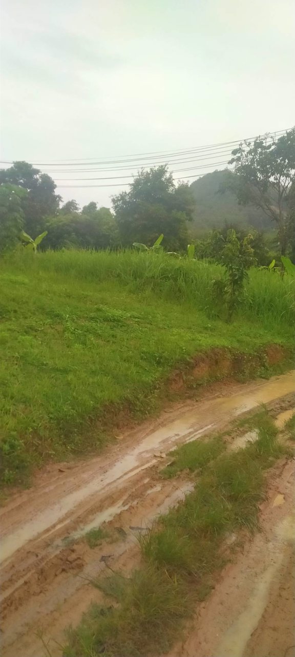 ขายทีดิน-นส-3ก-เนื้อที่2-ไร่-ขายไร่ละ-3-ล้าน-5-แสน