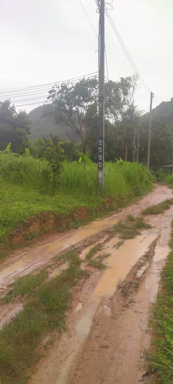 ขายทีดิน-นส-3ก-เนื้อที่2-ไร่-ขายไร่ละ-3-ล้าน-5-แสน