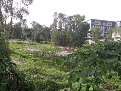 เสนอขายที่ดินเปล่า-6-0-61-ไร่-ใกล้สนามบินภูเก็ต