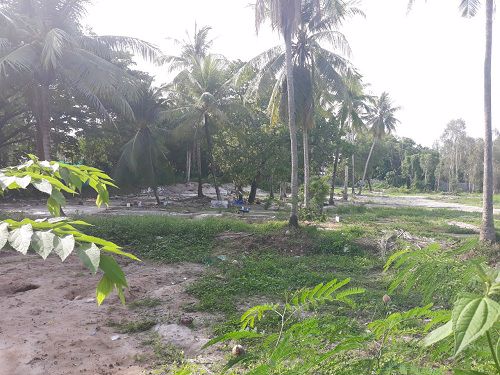 เสนอขายที่ดินเปล่า-6-0-61-ไร่-ใกล้สนามบินภูเก็ต