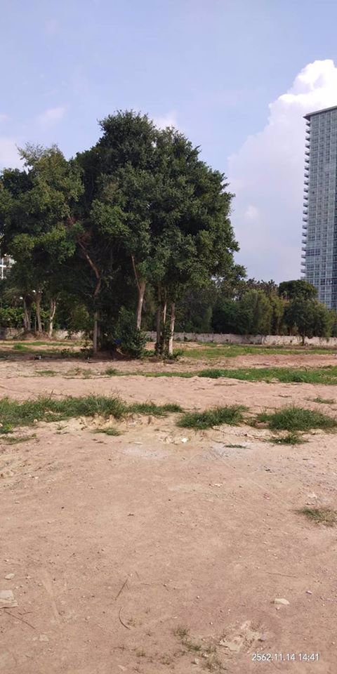 ขายที่ดินพัทยา-จอมเทียน-สาย2-เนื้อที่-5-ไร่-55-ตรว