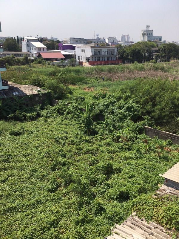 ขายที่ดิน-ลาดพร้าว101-แยก9-ขนาด-519-ตรว-ใกล้สถานีรถไฟฟ้า