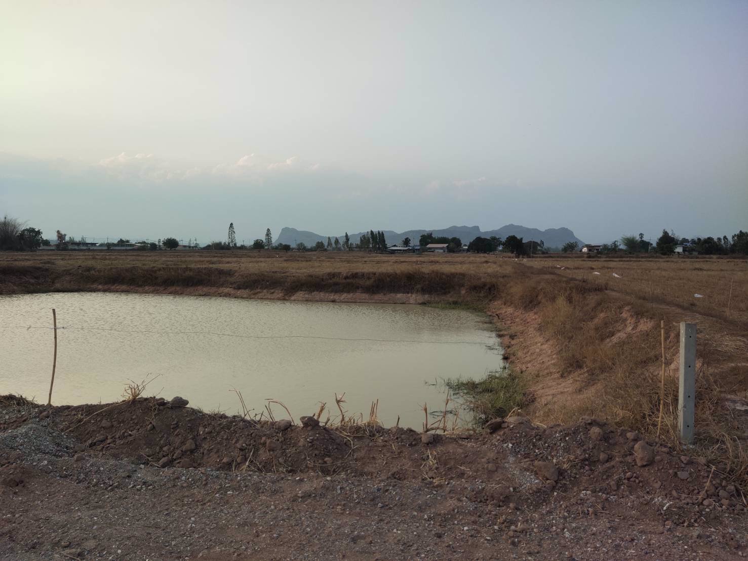 ขายที่ดิน-230ตารางวา-ตรางสาลี่-อท่าม่วง-จกาญจนบุรี