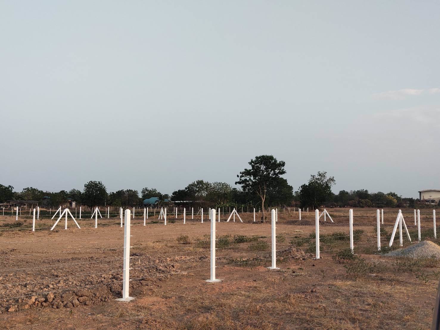 ขายที่ดิน-230ตารางวา-ตรางสาลี่-อท่าม่วง-จกาญจนบุรี