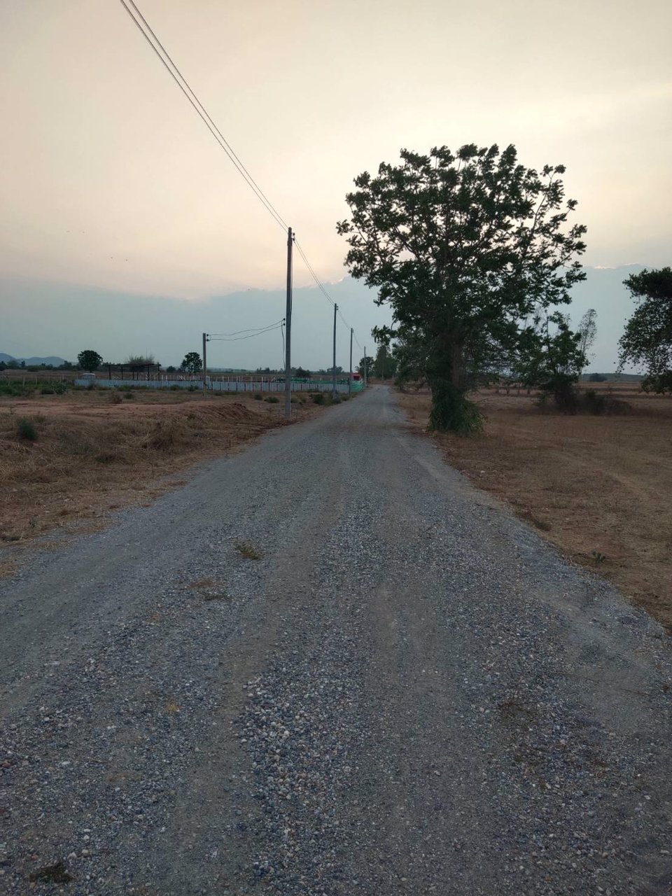 ขายที่ดิน-230ตารางวา-ตรางสาลี่-อท่าม่วง-จกาญจนบุรี