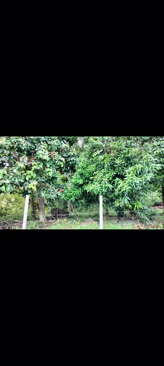 ขายที่ดินบนเขามีโฉนด