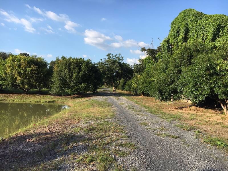 ขายที่ดินและสวนผลไม้-พร้อมบ้านไม้ทรงไทย-พื้นที่-13-ไร่-1-งาน-29-ตรวา-อำเภอเมืองนครนายก