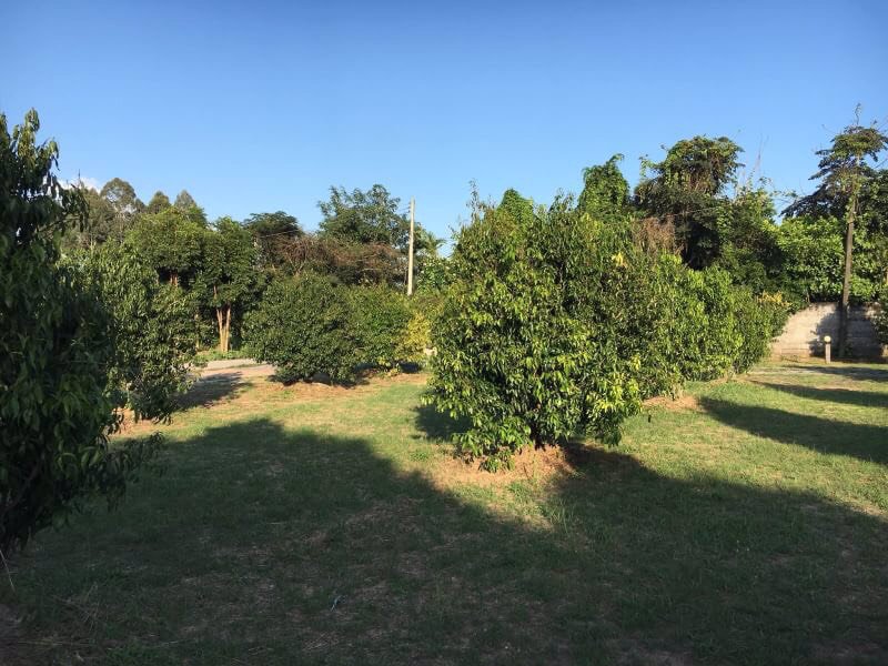 ขายที่ดินและสวนผลไม้-พร้อมบ้านไม้ทรงไทย-พื้นที่-13-ไร่-1-งาน-29-ตรวา-อำเภอเมืองนครนายก