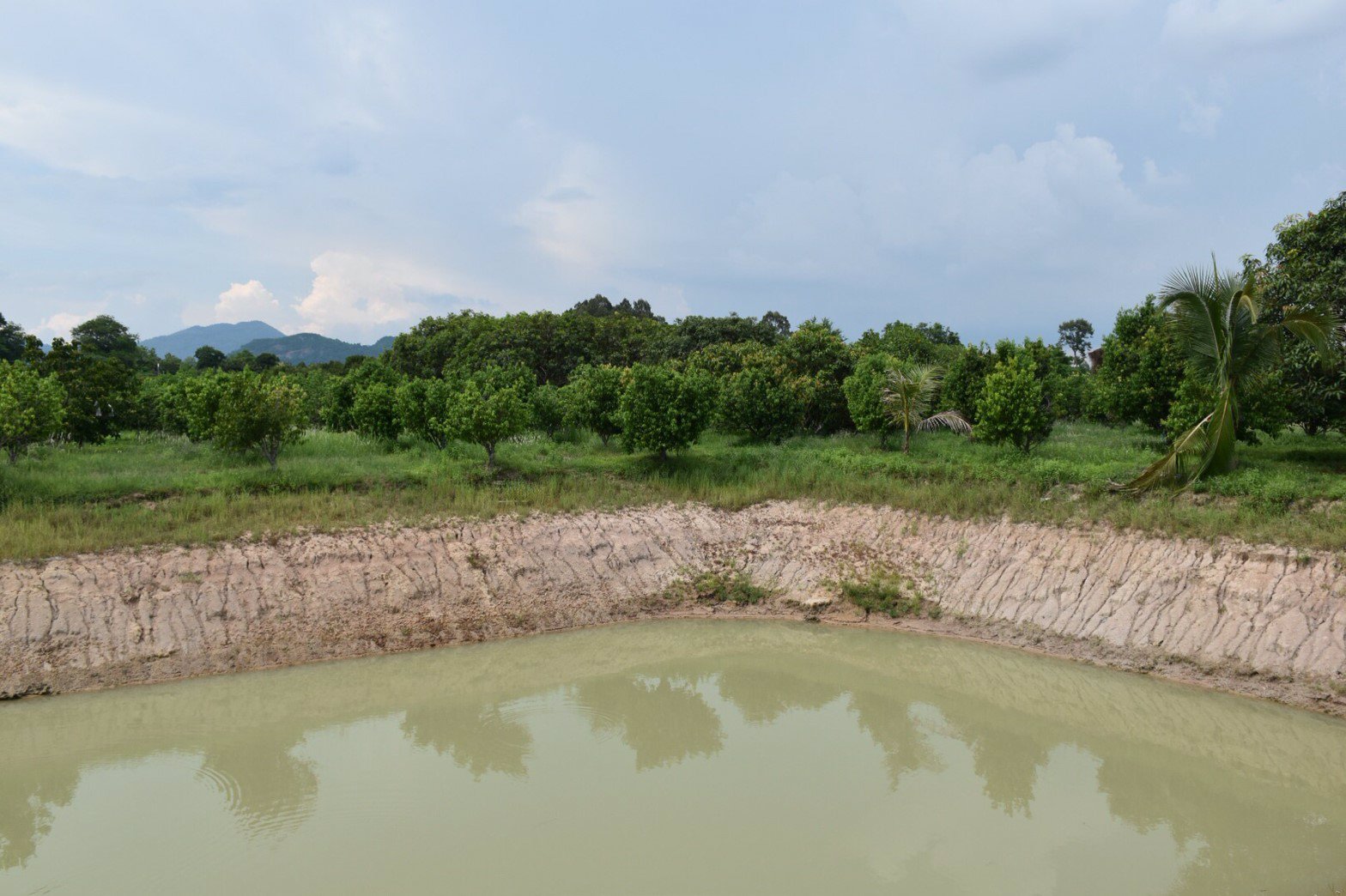 ขายที่ดินและสวนผลไม้-พร้อมบ้านไม้ทรงไทย-พื้นที่-13-ไร่-1-งาน-29-ตรวา-อำเภอเมืองนครนายก