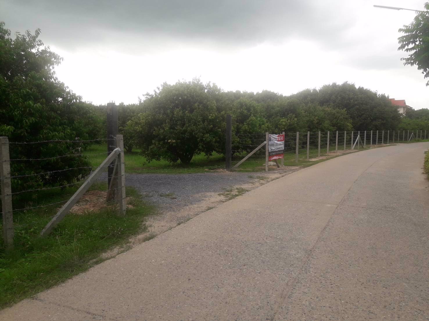 ขายที่ดินและสวนผลไม้-พร้อมบ้านไม้ทรงไทย-พื้นที่-13-ไร่-1-งาน-29-ตรวา-อำเภอเมืองนครนายก