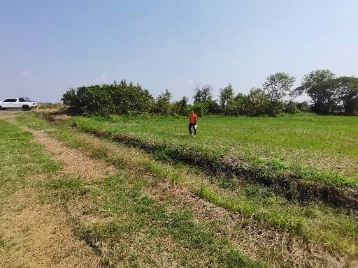 ขายที่ดิน-เนื้อที่-1-ไร่-คลอง-5-คลองหลวง-ปทุมธานี