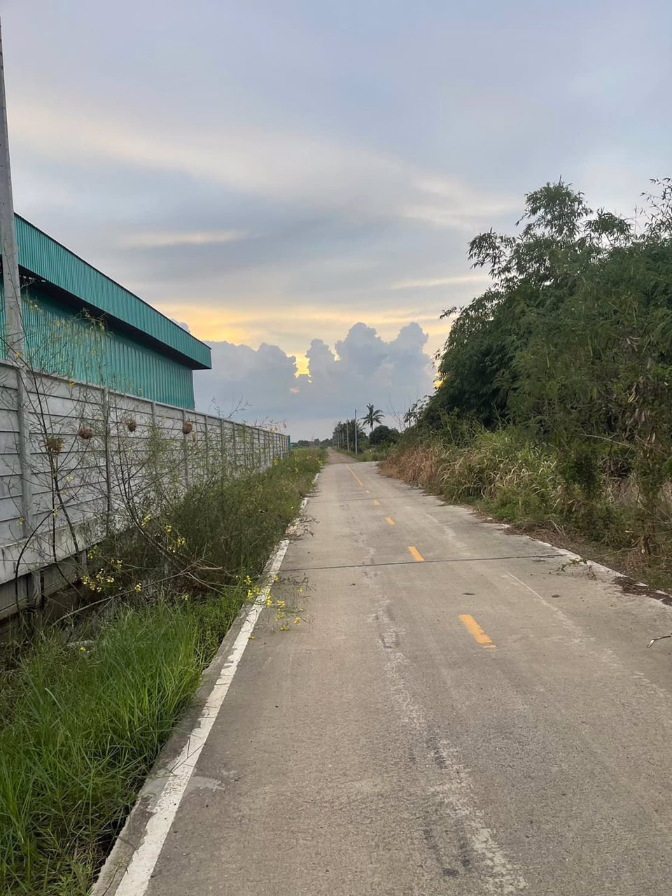 ขายที่ดิน-เนื้อที่-1-ไร่-คลอง-5-คลองหลวง-ปทุมธานี