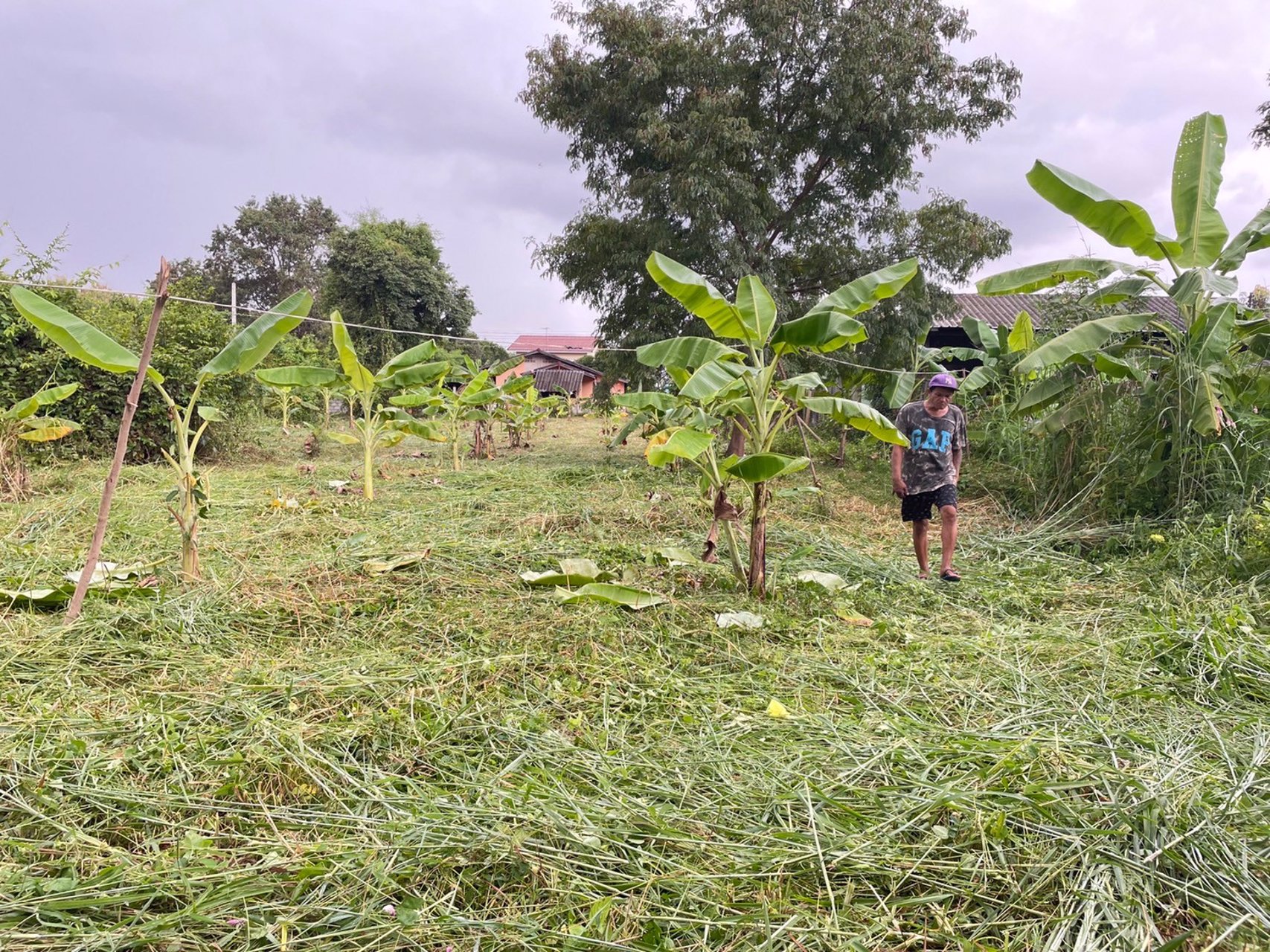 ที่สวยๆ-เหมาะสำหรับทำที่พักรถยนต์ขนสินค้าข้ามชายแดนไทย-สปปลาว-จีน